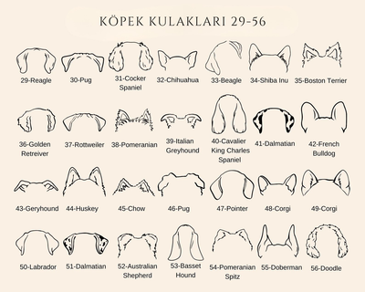 Custom Dog Ear Necklace