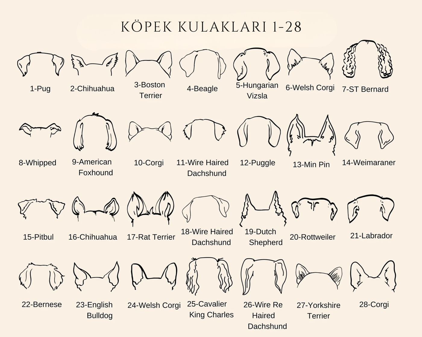 Custom Dog Ear Necklace