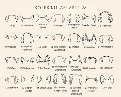 Custom Dog Ear Necklace